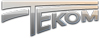 Ремонтные шипы  ТЕКОМ